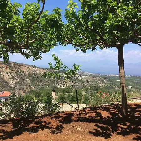 With View